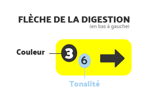fleche de la digestion couleur et tonalité